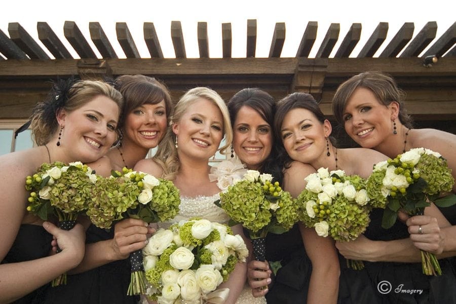 Professional Wedding Picture of Bridesmaids and Bride